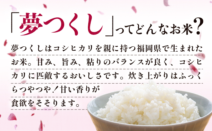 福岡県大木町のふるさと納税 【2026年1月20日以降発送】令和7年産 福岡県産米 夢つくし 10kg 精米 ※北海道・沖縄・離島は配送不可 CY009_01