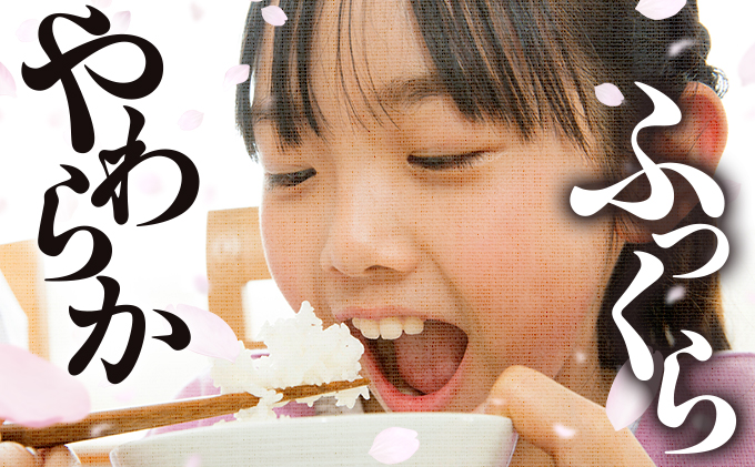 福岡県大木町のふるさと納税 【2026年1月20日以降発送】令和7年産 福岡県産米 夢つくし 10kg 精米 ※北海道・沖縄・離島は配送不可 CY009_01