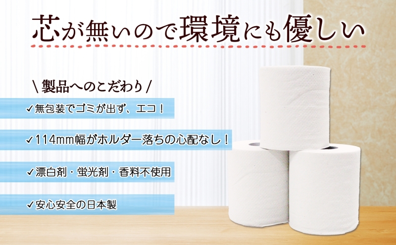 定期便 12カ月連続無包装 芯なしトイレットペーパー シングル 170m 48ロール 紙 3倍巻き ペーパー 日用品 消耗品 再生紙 無香料 備蓄 まとめ買い 防災 JIS規格 送料無料 川一製紙 岐阜県 美濃市 ※配送不可地域：北海道・沖縄県・離島