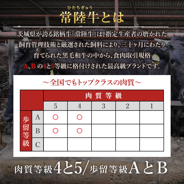 常陸牛100％カレー 200g×6個｜カレー レトルトカレー 常陸牛 人気 簡単 茨城県 行方市(AP-13)