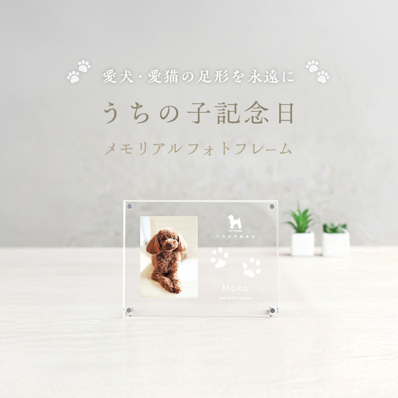 y쌧yz̎qLO tHgt[悱/P-UA10Y