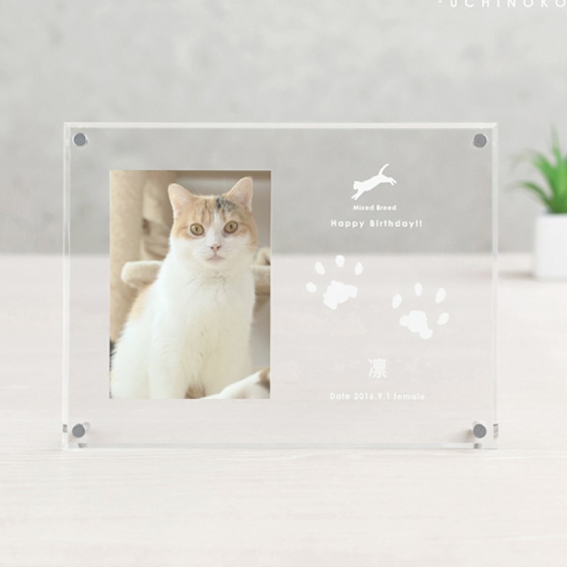 うちの子記念日 フォトフレームよこ/P-UA10Y