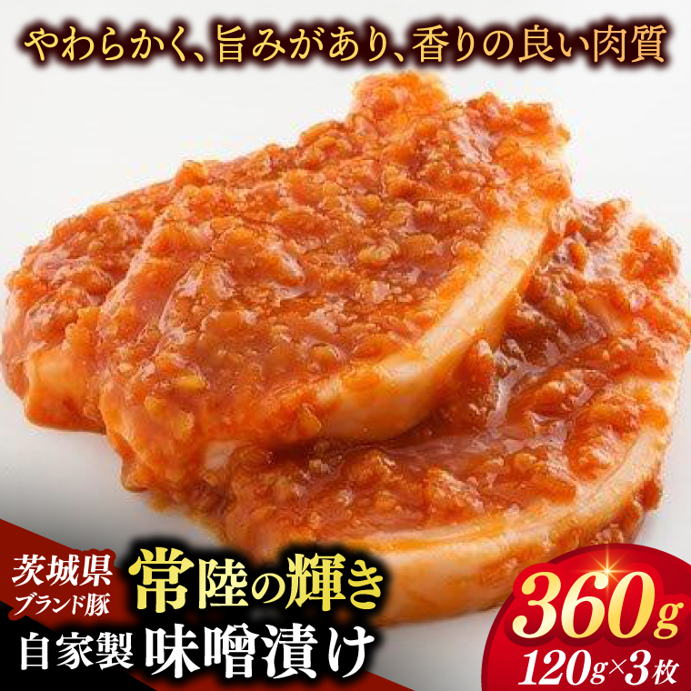 いばらき満喫Bセット 「鹿島灘産 はまぐり」＋「【茨城県共通返礼品・茨城県産】常陸の輝き (豚肉) 味噌漬け」【蛤 ハマグリ 三元豚 豚 ぶた ブタ セット バーベキュー BBQ 贈答用 ギフト 鹿嶋市 茨城】(KBL-21)