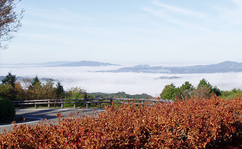 赤磐市 吉井竜天オートキャンプ場（ 区画型サイト 利用券 ） キャンプ アウトドア 旅行 キャンプ場 宿泊券 キャンプ場利用権