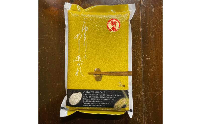 魚沼産　いのちの壱　5kg お米 おこめ こめ 精米 白米 新潟 新潟県 十日町市