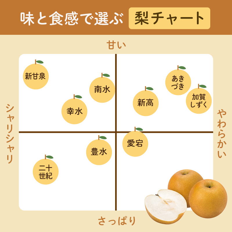【2026年先行予約】【訳あり】梨 福袋 5kg 旬の品種を1品種お届け くだもの 果物 フルーツ ご当地 食品 新水 なつしずく 幸水 豊水 あきづき 新高 新興 愛宕 F6P-2945