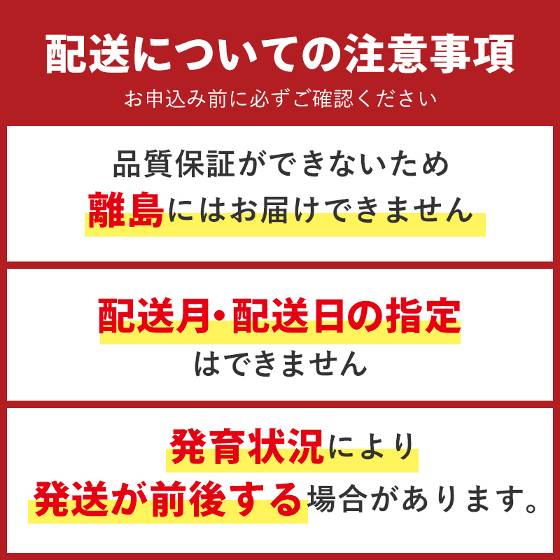 【2026年先行予約】【訳あり】梨 福袋 5kg 旬の品種を1品種お届け くだもの 果物 フルーツ ご当地 食品 新水 なつしずく 幸水 豊水 あきづき 新高 新興 愛宕 F6P-2945