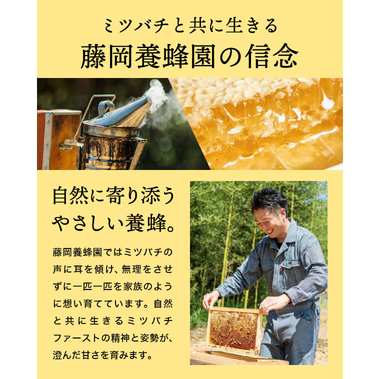 兵庫県市川町のふるさと納税 【2025年採蜜】 完熟はちみつ　300g（藤岡養蜂園） 　008FY01N. ／ 完熟 熟成 天然 ハチミツ 養蜂 蜂蜜 ミツバチ しりばり 瓶 チューブ 選べる