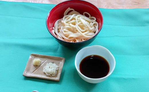 生うどん 100g×5人前×2セット | うどん 10人前 10食 セット 麺 麺類 辛汁 冷凍 茨城県 守谷市
