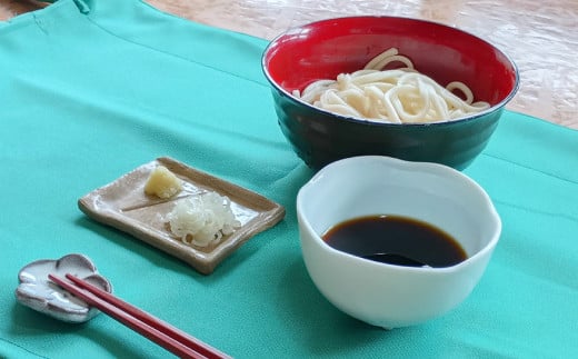 生うどん 100g×5人前×2セット | うどん 10人前 10食 セット 麺 麺類 辛汁 冷凍 茨城県 守谷市