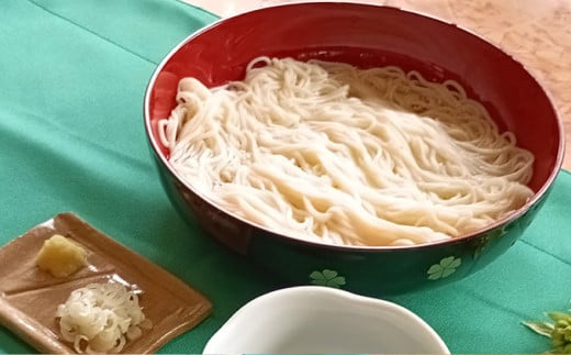 生そうめん 100g×5人前×2セット | そうめん 10人前 10食 セット 麺 麺類 辛汁 冷凍 茨城県 守谷市