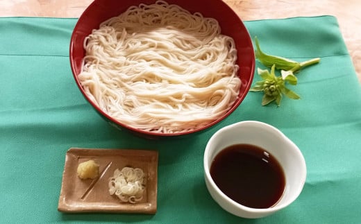 生そうめん 100g×5人前×2セット | そうめん 10人前 10食 セット 麺 麺類 辛汁 冷凍 茨城県 守谷市