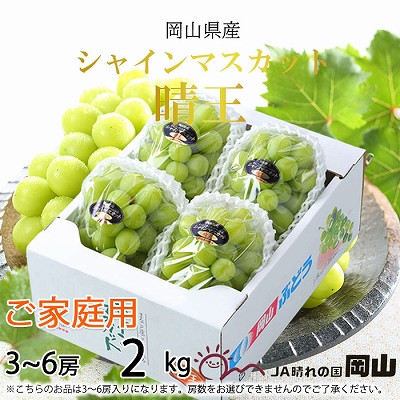 yRʖszy2025N8{蔭zƒp RY VC}XJbg  2kg(3`6[) Ԃǂ  uhE t[c ʕ