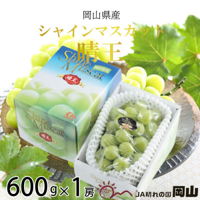 【2026年7月上旬より発送】岡山県産 シャインマスカット 晴王 600g×1房 ぶどう 葡萄 ブドウ フルーツ 果物