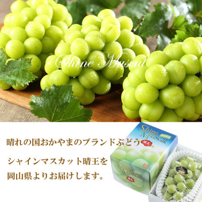 【2026年7月上旬より発送】岡山県産 シャインマスカット 晴王 800g×1房 ぶどう 葡萄 ブドウ フルーツ 果物