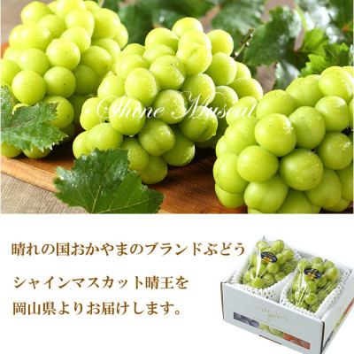 【2026年7月上旬より発送】岡山県産 シャインマスカット 晴王 500g×2房 ぶどう 葡萄 ブドウ フルーツ 果物