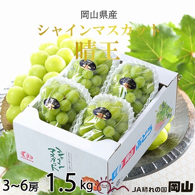 【2026年7月上旬より発送】岡山県産 シャインマスカット 晴王 1.5kg(3房～6房) ぶどう 葡萄 ブドウ フルーツ 果物