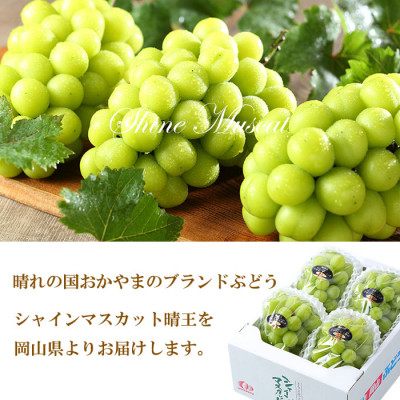 【2026年7月上旬より発送】岡山県産 シャインマスカット 晴王 1.5kg(3房～6房) ぶどう 葡萄 ブドウ フルーツ 果物
