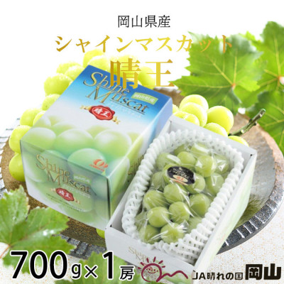 【2026年8月下旬より発送】岡山県産 シャインマスカット 晴王 700g×1房 ぶどう 葡萄 ブドウ フルーツ 果物