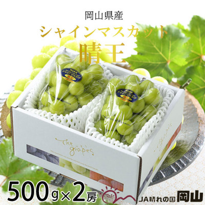 【2026年8月下旬より発送】岡山県産 シャインマスカット 晴王 500g×2房 ぶどう 葡萄 ブドウ フルーツ 果物