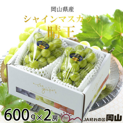 rr...出品　季節先取り【晴れの国岡山県産】温室栽培シャインマスカット rr出品 季節先取り【晴れの国岡山県産】温室栽培シャイン