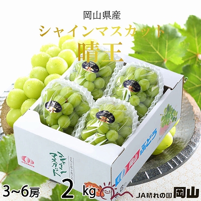 【岡山県玉野市】【2025年8月下旬より発送】岡山県産 シャインマスカット 晴王 2kg(3房〜6房) ぶどう 葡萄 ブドウ フルーツ 果物