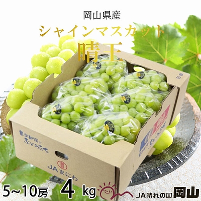 yRʖszy2025N8{蔭zRY VC}XJbg  4kg(5[`10[) Ԃǂ  uhE t[c ʕ