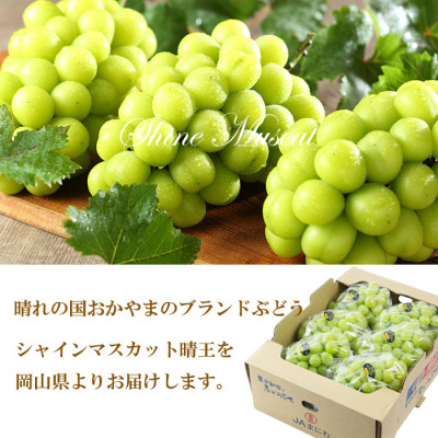 【2026年8月下旬より発送】岡山県産 シャインマスカット 晴王 4kg(5房～10房) ぶどう 葡萄 ブドウ フルーツ 果物
