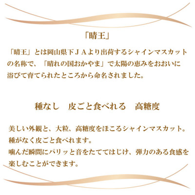 【2025年8月下旬より発送】ご家庭用 岡山県産 シャインマスカット 晴王 500g×2房 ぶどう 葡萄 ブドウ フルーツ 果物