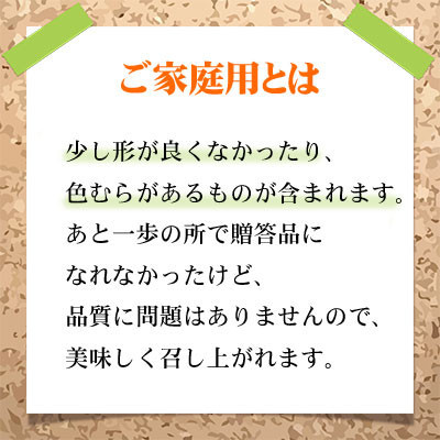 【2025年8月下旬より発送】ご家庭用 岡山県産 シャインマスカット 晴王 500g×2房 ぶどう 葡萄 ブドウ フルーツ 果物