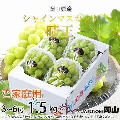 yRʖszy2025N8{蔭zƒp RY VC}XJbg  1.5kg(3`6[) Ԃǂ  uhE t[c ʕ
