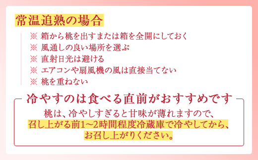 【産直・人気の特産品】和歌山の桃　3玉入り※着日指定不可
