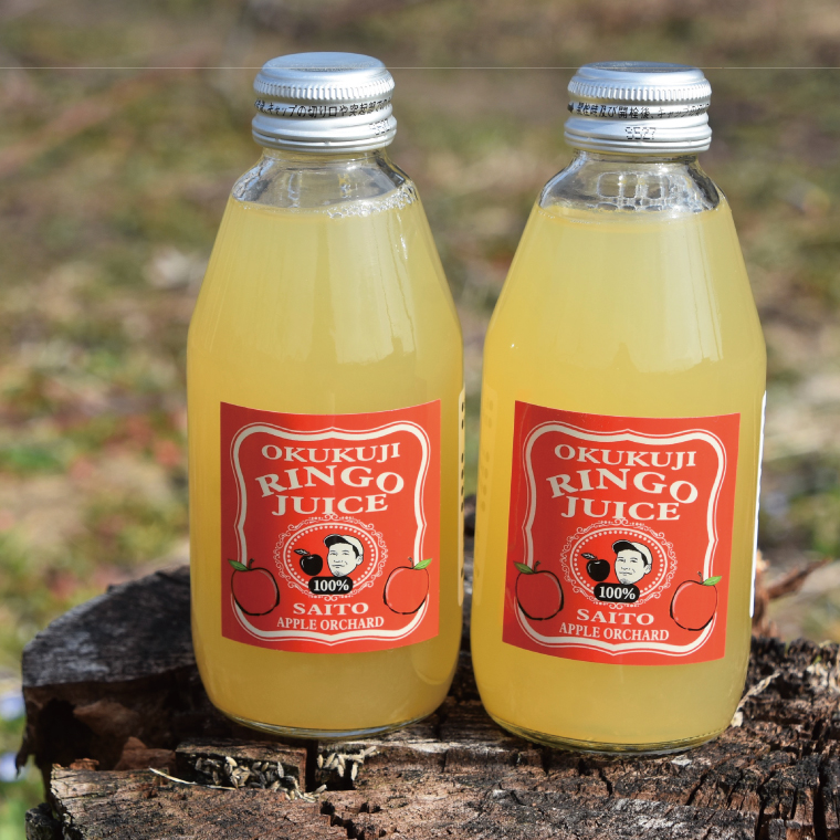 斉藤りんご園の奥久慈りんごジュース（ストレート）200ml×6本セット(化粧箱入り)｜茨城県 大子町 林檎 果汁 100％ 無添加 フルーツ 旬 果物 子ども(CG006)