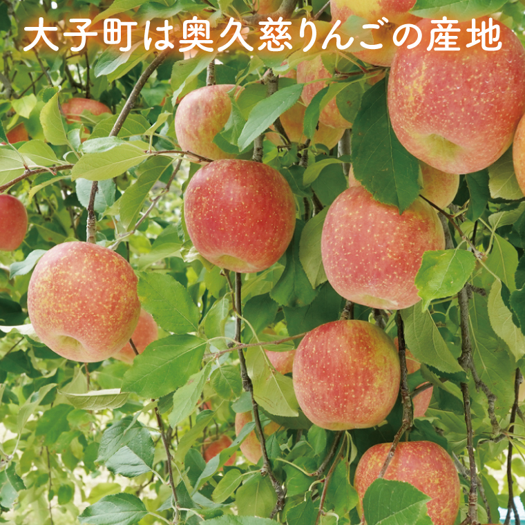 斉藤りんご園の奥久慈りんごジュース（ストレート）200ml×6本セット(化粧箱入り)｜茨城県 大子町 林檎 果汁 100％ 無添加 フルーツ 旬 果物 子ども(CG006)