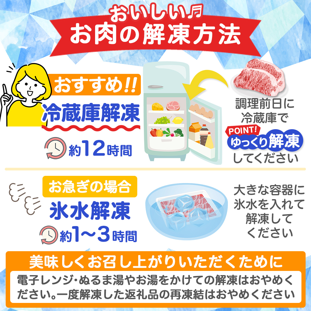 宮崎県都城市のふるさと納税 宮崎牛モモスライス(500g×2P)_17-N401