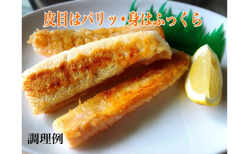鮭 定塩ハラス450g×2パック 魚 ハラス 魚介 海の幸 小分けパック 食べきりサイズ 簡単調理 香ばしい ふっくら おかず ご飯のお供 九十九里町 千葉県