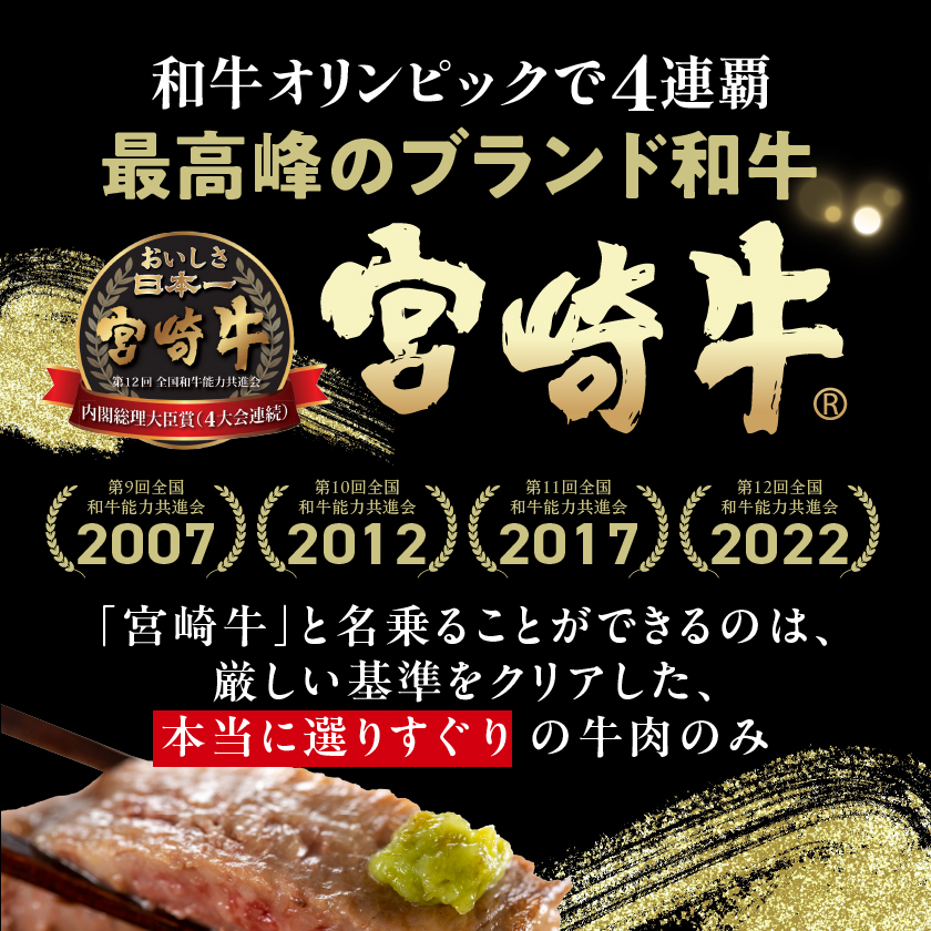 宮崎県都城市のふるさと納税 【数量限定】宮崎牛9種盛り焼肉セット_22-3101