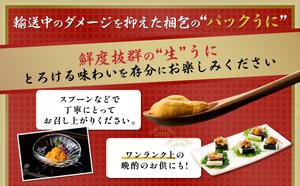 北海道登別市のふるさと納税 極上 エゾバフンウニ 100g（パック詰）配送期間C：1月下旬～3月下旬迄
