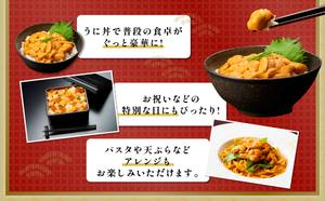 北海道登別市のふるさと納税 極上 エゾバフンウニ 100g（パック詰）配送期間C：1月下旬～3月下旬迄