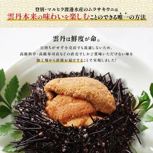 ≪規格外品600g≫無添加　エゾバフンウニ塩水パック600g 配送期間D：4月上旬～5月下旬迄