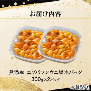 ≪規格外品600g≫無添加　エゾバフンウニ塩水パック600g 配送期間D：4月上旬～5月下旬迄