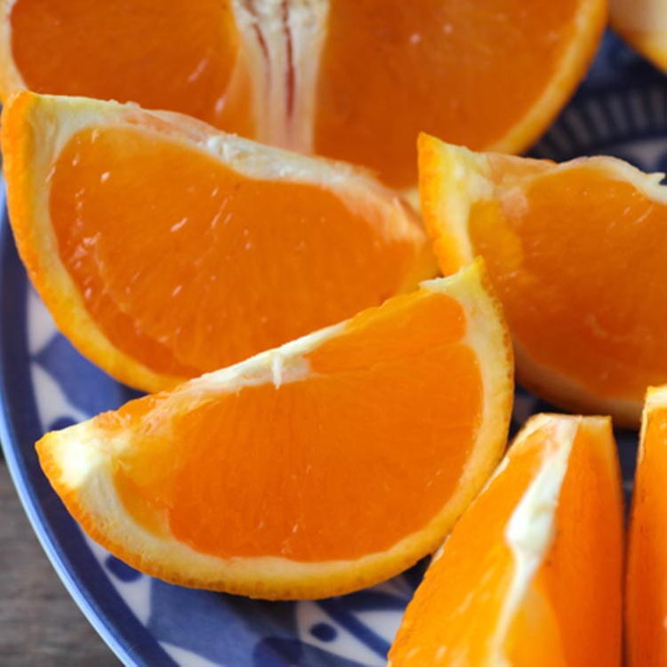 【濃厚】有田産清見オレンジ約5kg（サイズおまかせまたは混合）ご家庭用 ※2026年2月中旬～3月下旬頃に順次発送予定