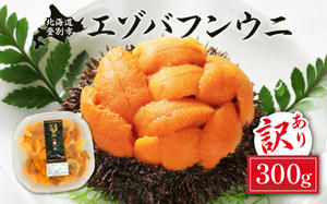 ≪規格外品300g≫無添加 エゾバフンウニ 塩水パック 300g　D：4月上旬～5月下旬迄