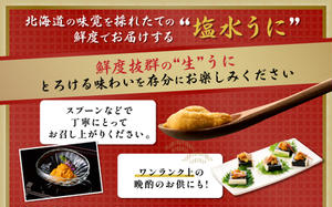 ≪規格外品300g≫無添加 エゾバフンウニ 塩水パック 300g　D：4月上旬～5月下旬迄