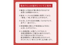 無添加 極上 エゾバフンウニ 塩水パック 500g 配送期間D：4月上旬～5月下旬迄