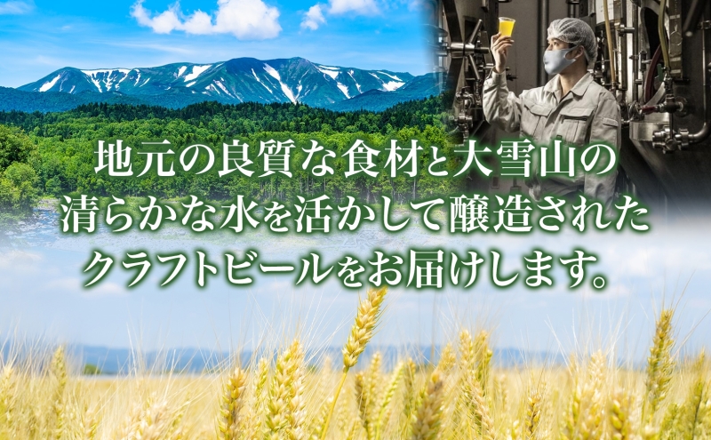 滝川クラフトビール りんご&ドライ 3本 空知地ビール 地ビール クラフトビール バーベキュー BBQ ご当地ビール 晩酌 宅飲み 家飲み アウトドア キャンプ 冷蔵 送料無料 北海道 滝川市