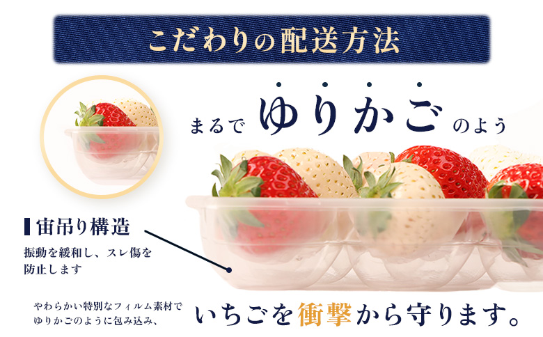 北海道中標津町のふるさと納税 【セゾン限定】【12月以降、随時発送！】【北海道産】ゆきいちご（白いちご） 2Pセット 250g×2 計500g【59004】