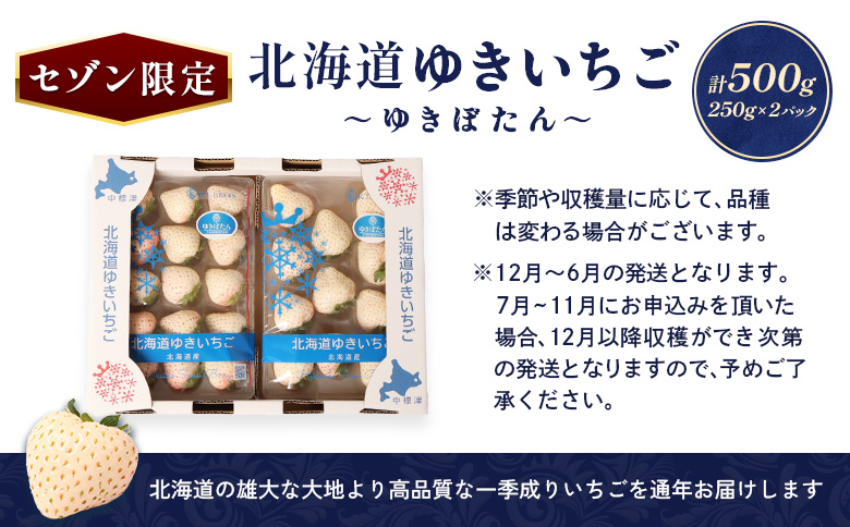 北海道中標津町のふるさと納税 【セゾン限定】【12月以降、随時発送！】【北海道産】ゆきいちご（白いちご） 2Pセット 250g×2 計500g【59004】