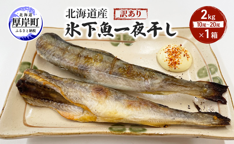 【北海道厚岸町】北海道産 訳あり 氷下魚 一夜干し 2kg こまい コマイ 魚 魚介類  白身魚 干物 ひもの 北海道 厚岸町