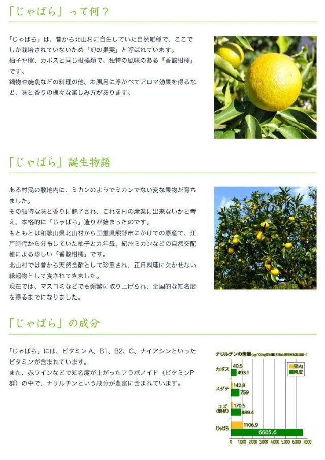 V6229_じゃばら果汁360ml×15本 100％ストレート果汁 邪払 ジャバラ じゃばら 果汁 北山村 / 紀伊国屋文左衛門本舗